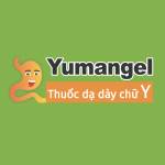 Yumangel - Thuốc dạ dày chữ Y's Store