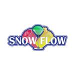 Snow Flow's Store