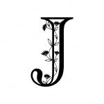 Jennifer Lawrence's Store