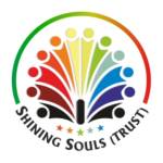 Shining Souls (Trust)'s Store