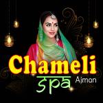 Chamelispa ajman's Store