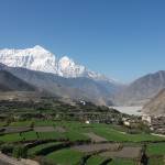 Excellent Himalaya's Store