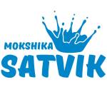 satvik dairy's Store