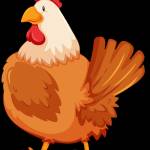 Manok Na Pula's Store