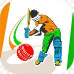 Best Cricketidprovider's Store