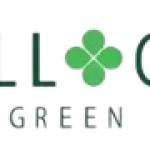 hillock green's Store