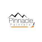 Pinnacle Painters's Store
