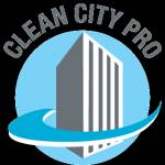 Clean City Pro's Store