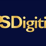 PS Digitise LLP Diya's Store