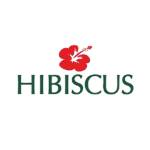 Spa Hibiscus India's Store