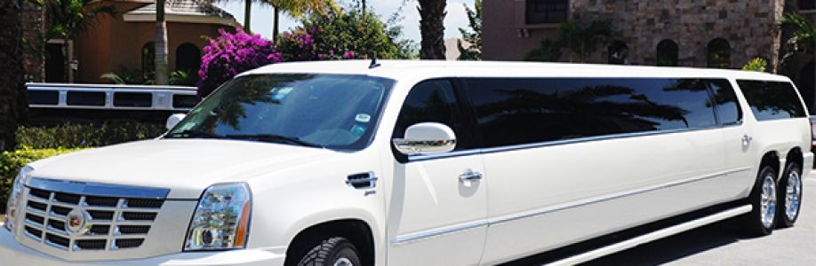 Topct Limo's Store
