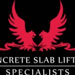 Theliftingspecialists specialists's Store