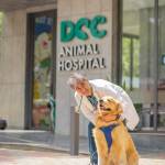 DCC Hospital's Store