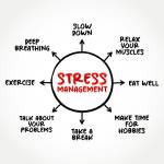 Yoga For Stress Management's Store