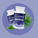 Flow Force max's Store