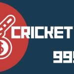 Cricketbet999's Store