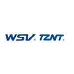 wsv- valve's Store