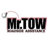 Mr Tow's Store