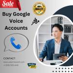 Google Voice Accounts Google Voice Accounts's Store