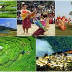 assam honeymoon packages's Store