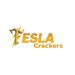Tesla Crackers's Store