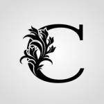 Cricut Guide's Store