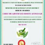 Chief Dr Ajifitifase Odofin Afewesaje's Store