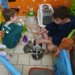 Tailwag Cattery's Store
