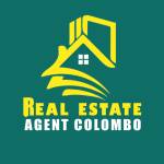 Real Estate Agent Colombo's Store
