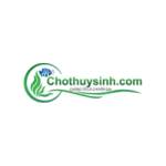 cho thuysinh's Store