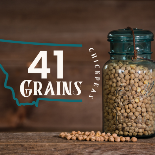 41 Grains's Store