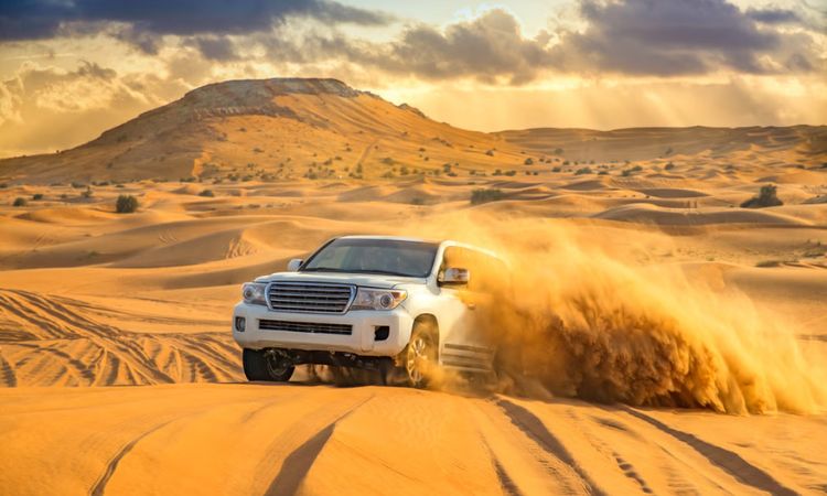 The Desert Safari In Dubai's Store