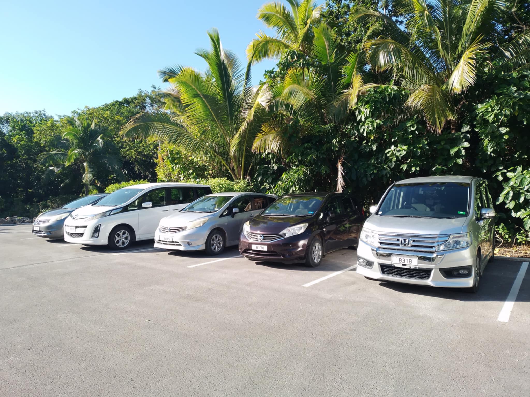 Denzel Car Rentals's Store
