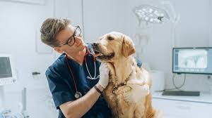 Zenley Animal health's Store