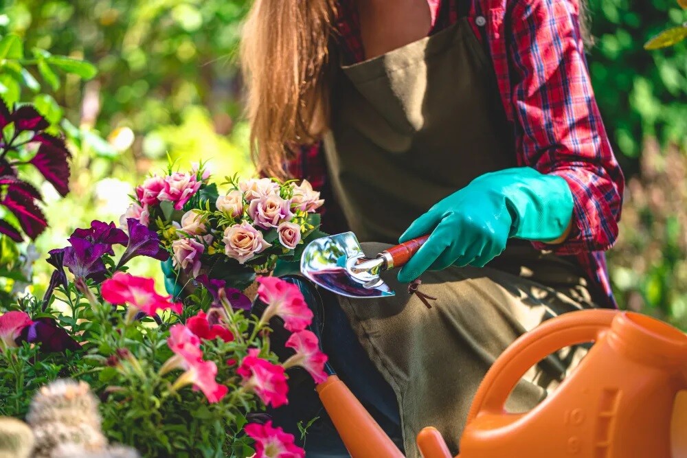 M.R Garden & Tree Service's Store