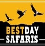 Bestday Safaris's Store