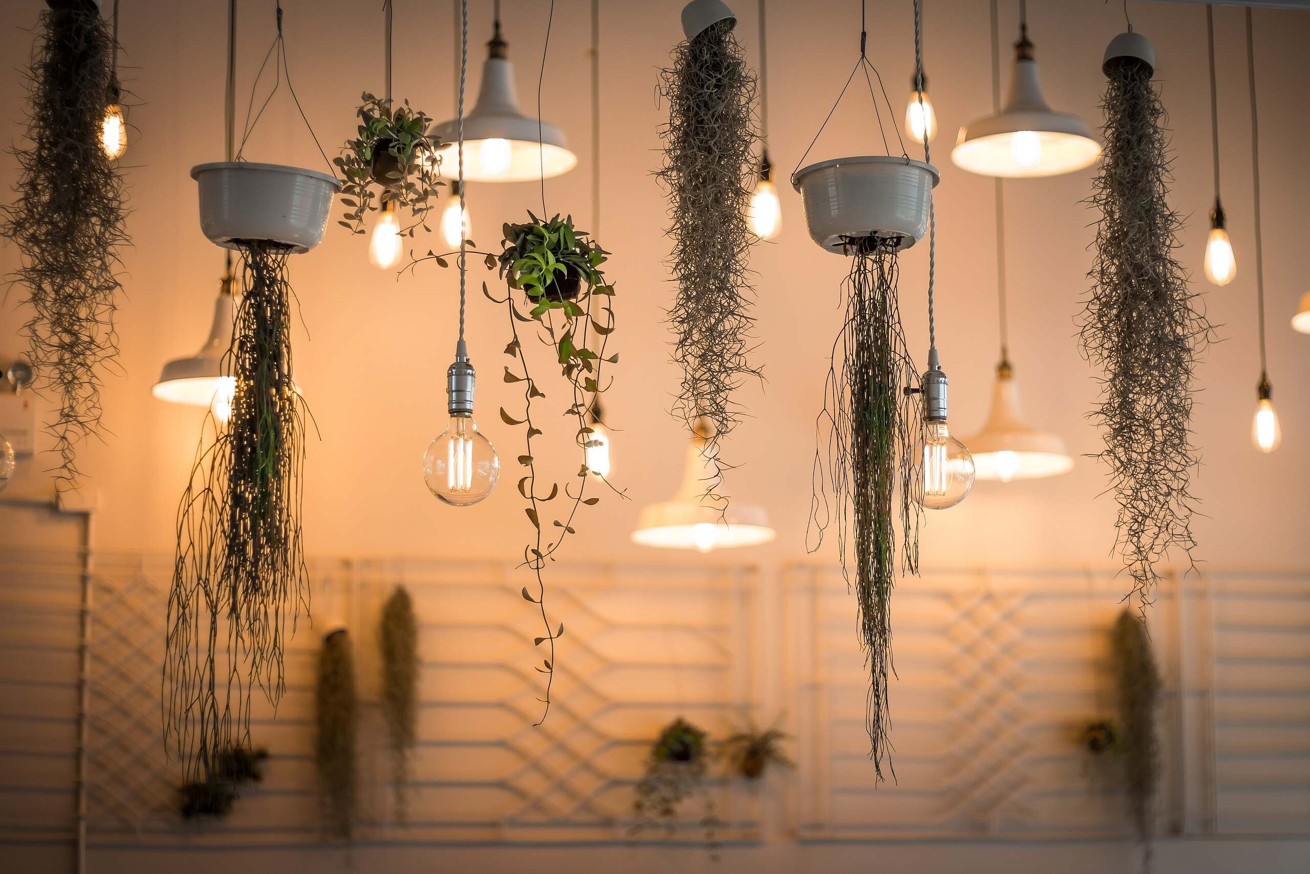 Decor Lighting's Store