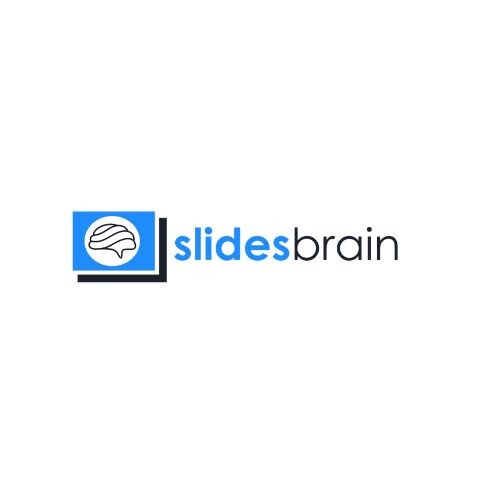 Slides Brain's Store