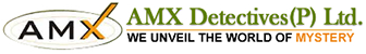 AMX Detectives's Store