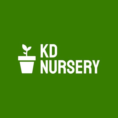 KD Nursery's Store