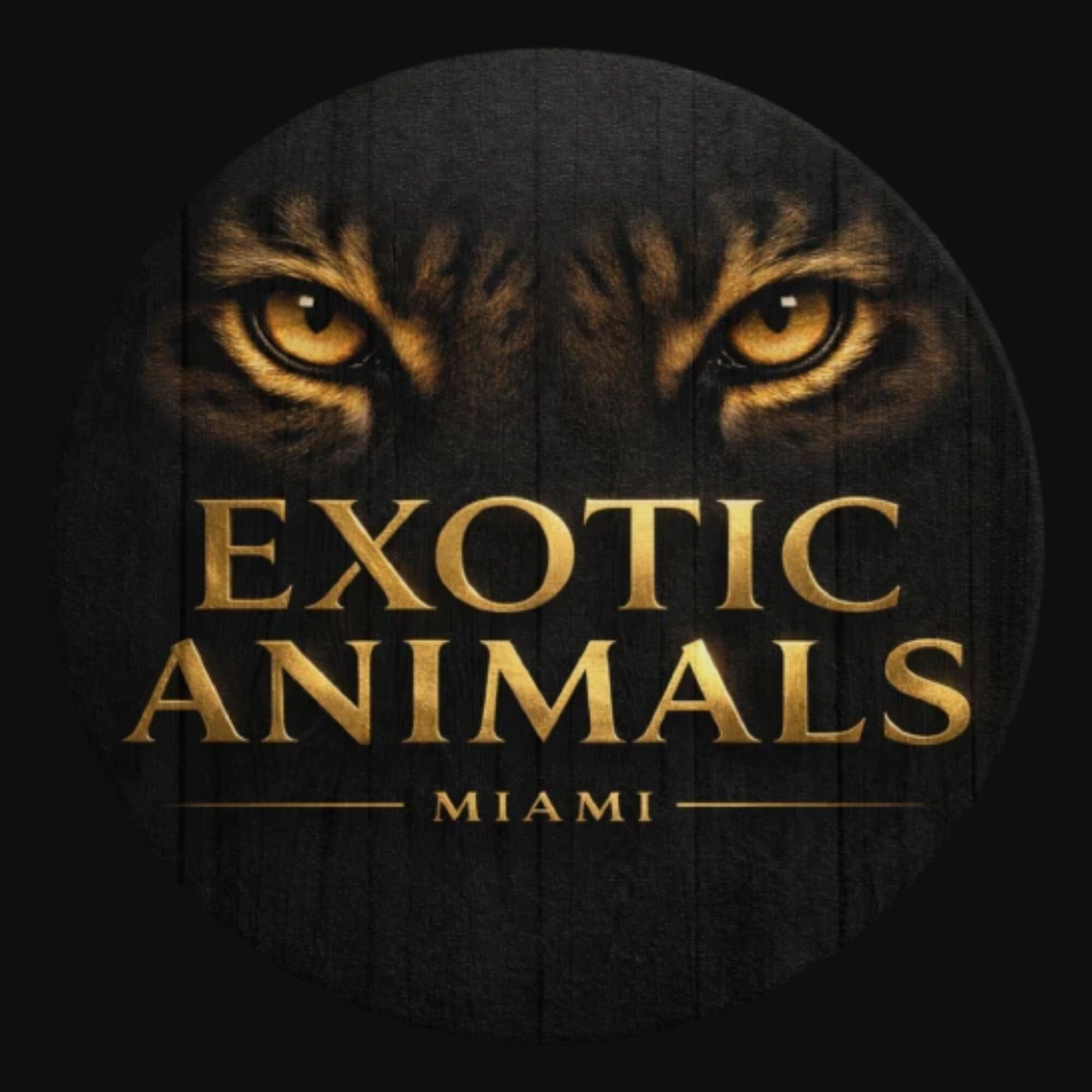 Exotic Animals Miami's Store