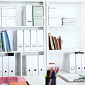 Savvy Organizing Solutions LLC's Store