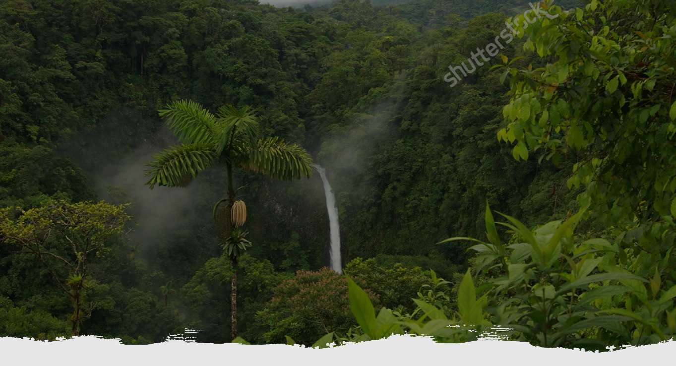 La Fortuna Hikes and Trails's Store