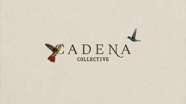 Cadena Collective's Store