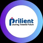 Prilient Technologies's Store