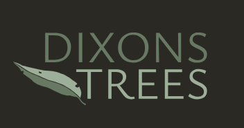 Phil Dixon's Store