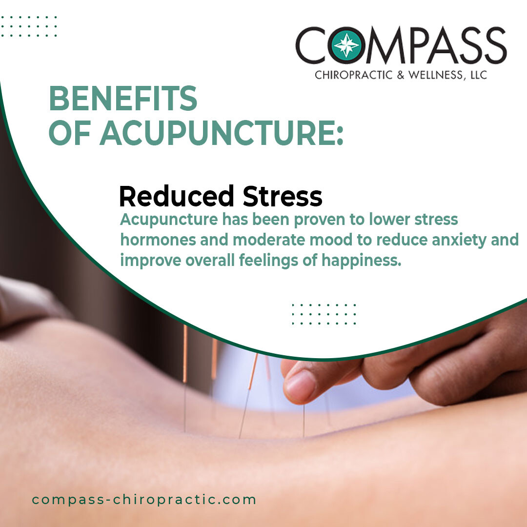 Compass Chiropratic's Store