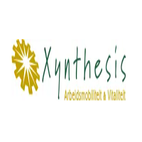 Xynthesis Reintegratie's Store