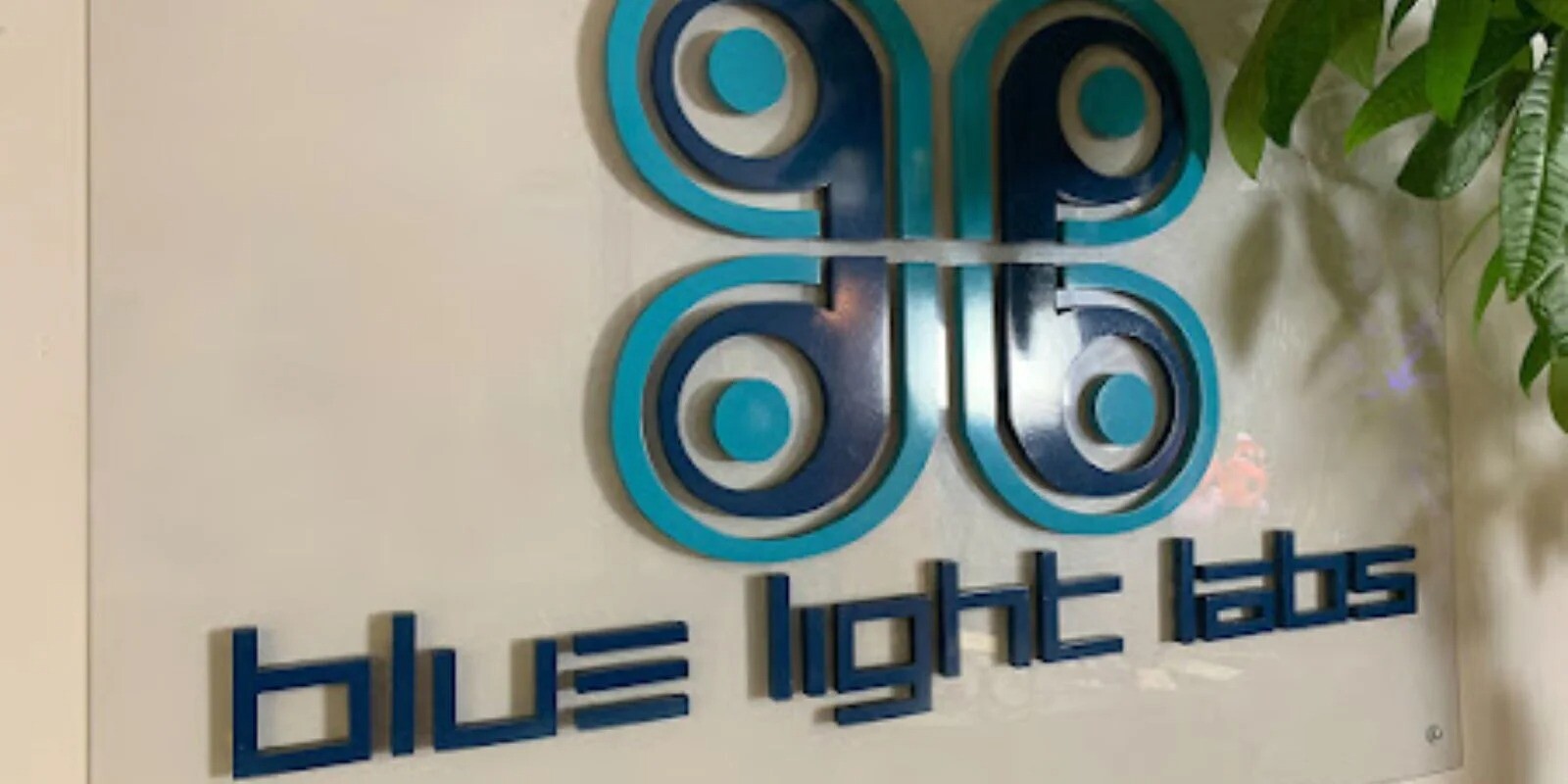 Blue Light Labs Inc.'s Store