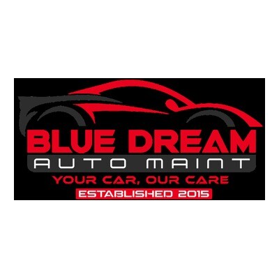 Blue Dream Auto Maint's Store